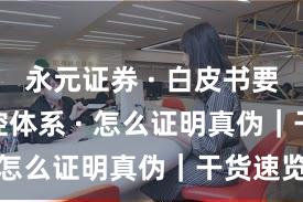 永元证券 · 白皮书要点 · 风控体系 · 怎么证明真伪｜干货速览