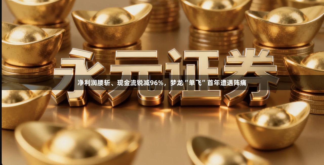 净利润腰斩、现金流锐减96%，梦龙“单飞”首年遭遇阵痛